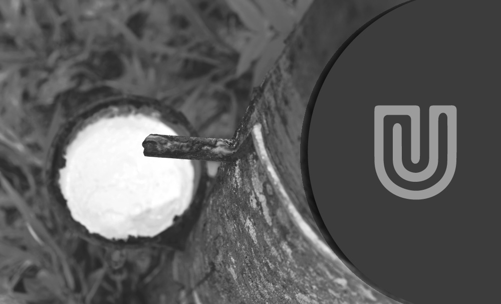 Latex vs Rubber Gloves What is the difference? Unigloves